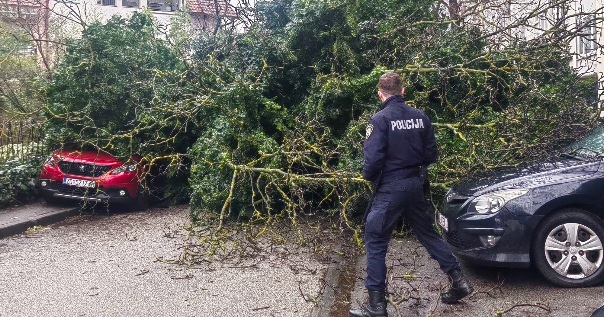 FOTO U Zagrebu stablo palo na parkirane aute