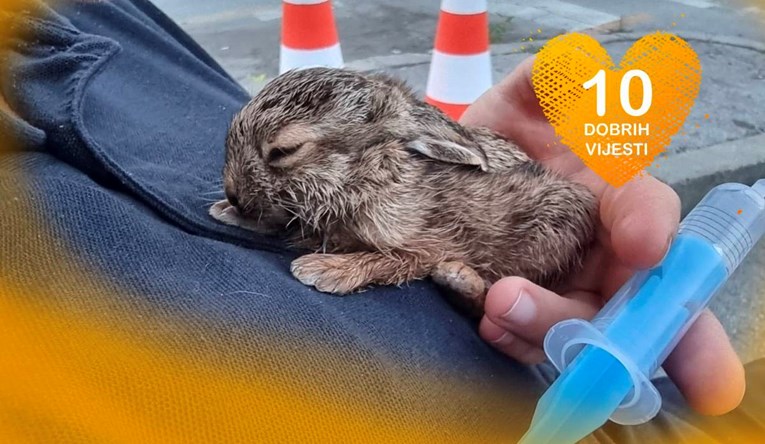 10 dobrih vijesti tjedna