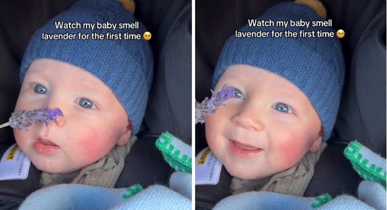 VIDEO Reakcija bebe na miris lavande izmamit će vam osmijeh na lice