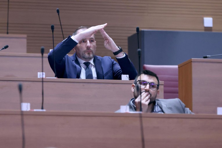 Sukob u IDS-u. Saborski zastupnik: Umjesto da mi odgovore, Predsjedništvo me kaznilo