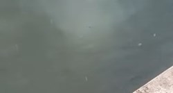 VIDEO Ovo je more uz splitsku Rivu jutros, nešto mutno izvire na površinu