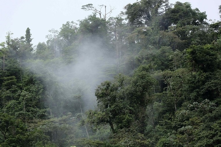 UN proglasio Kostariku "prvakom Zemlje" u zaštiti klime