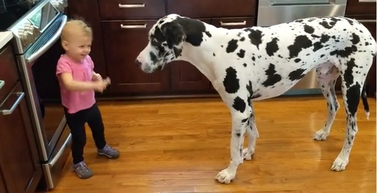 Djevojčica naredila velikom psu da sjedne, njegov odgovor začudio je mnoge