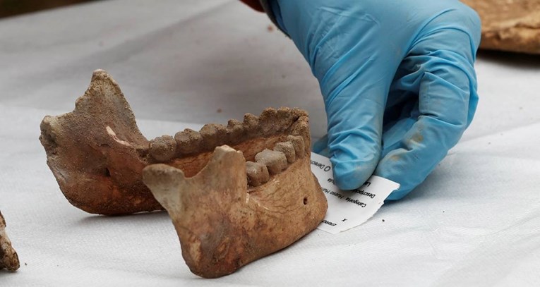 Pronađen ljudski fosil, mogao bi biti najstariji u Europi