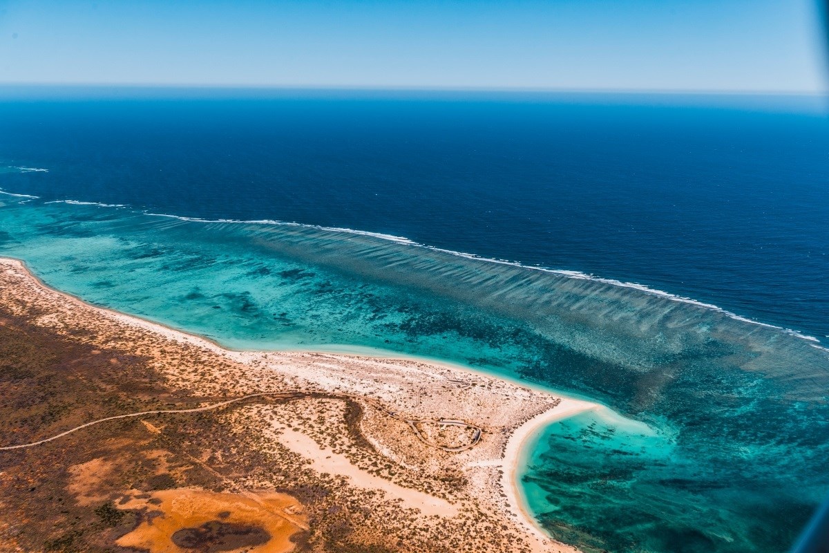 Podvodni "šumski požar" prži australske grebene