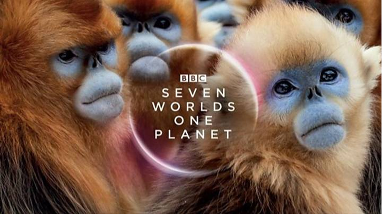 Nakon 50 godina Attenborough uspio snimiti rijetke majmune, pogledajte snimku