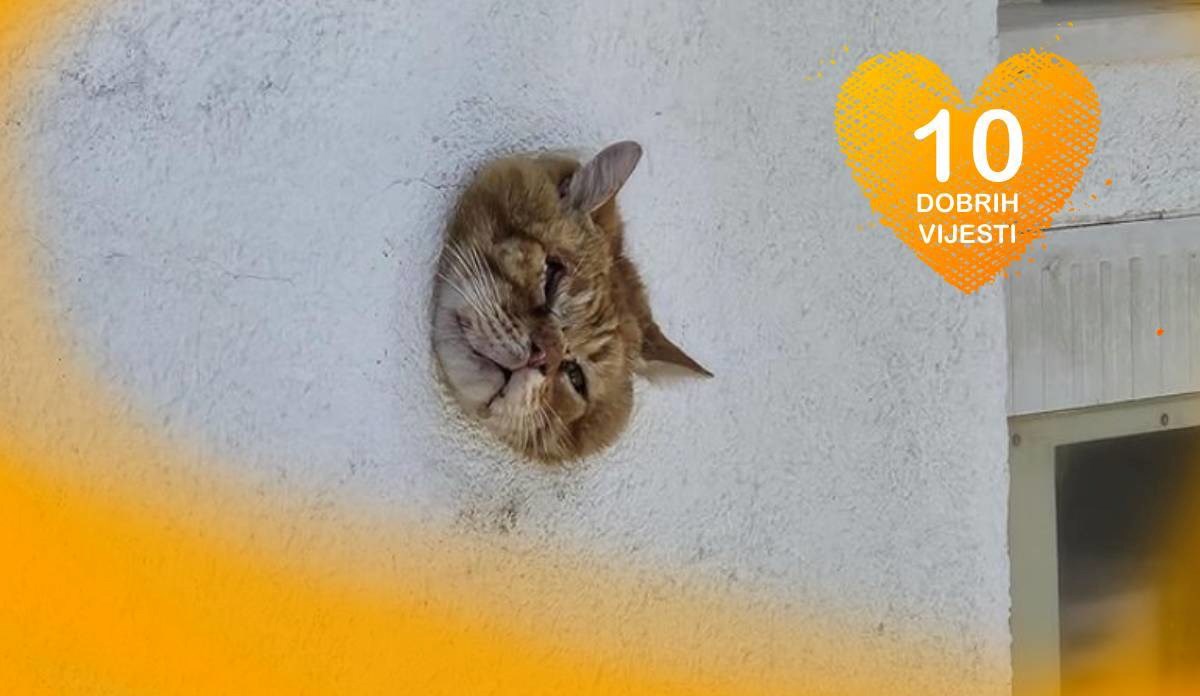 10 dobrih vijesti tjedna