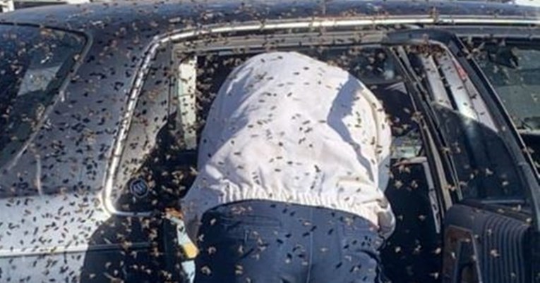 Muškarcu dok je bio u trgovini u automobil ušao roj pčela, prizor je zastrašujuć