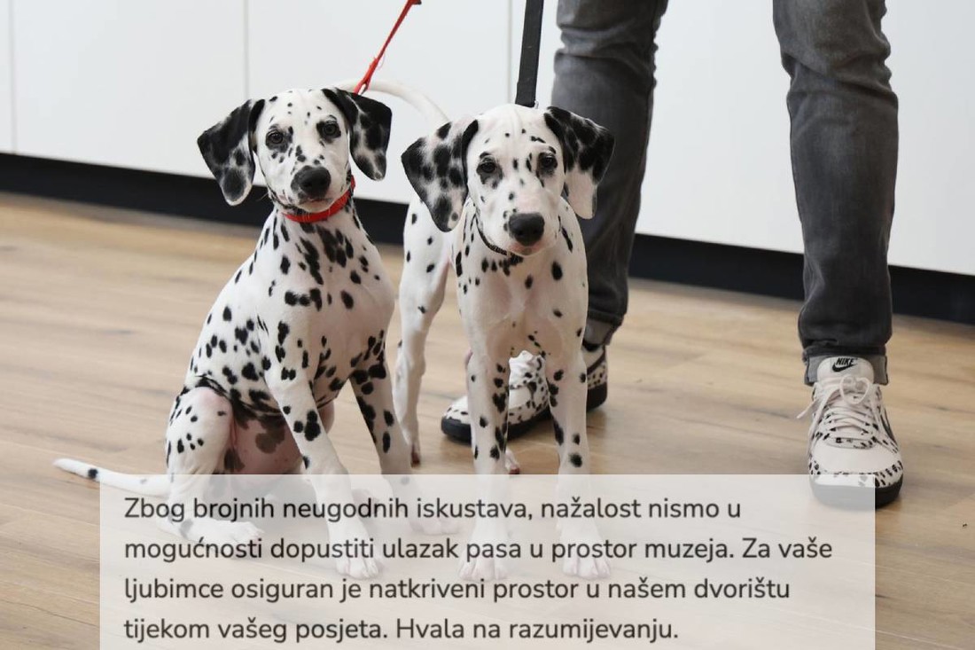 "Pa ovo je muzej posvećen psu": Posjetitelji razočarani novim pravilom u muzeju
