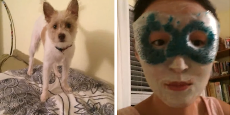Pas poludio kada je vidio vlasnicu s maskom, njegova reakcija je sjajna
