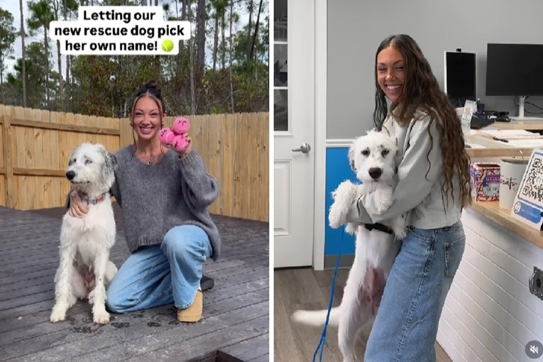 Dirljiva priča o udomljavanju: Prešla pola svijeta kako bi udomila psa s interneta