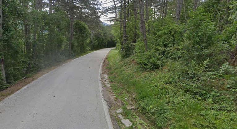 Slovakinja krijumčarila migrante kod Buzeta