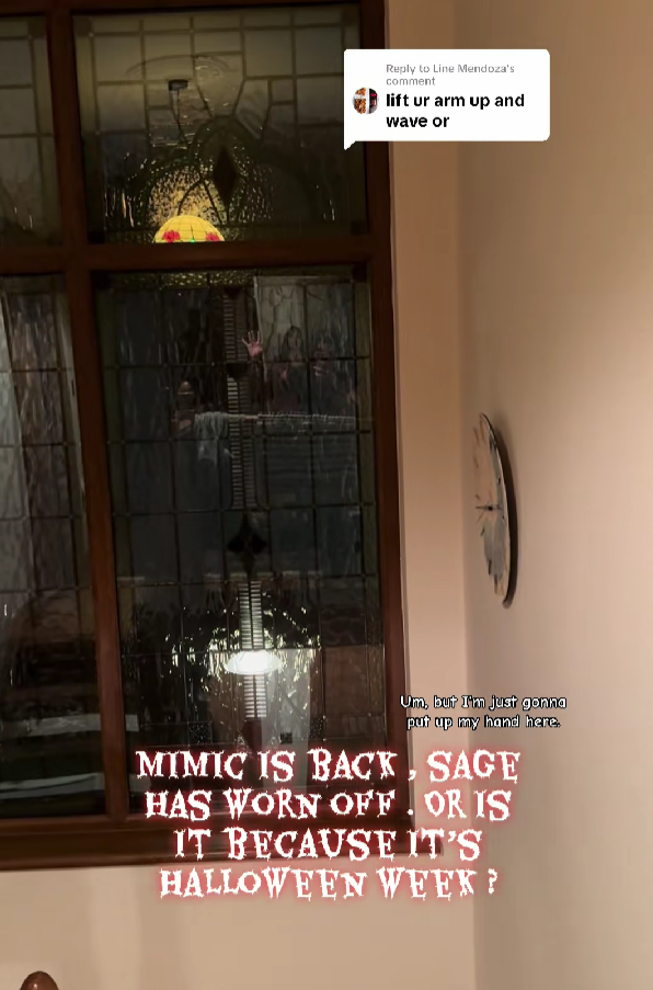 Žena snimila "jezivu figuru" u svom domu, komentari su sve