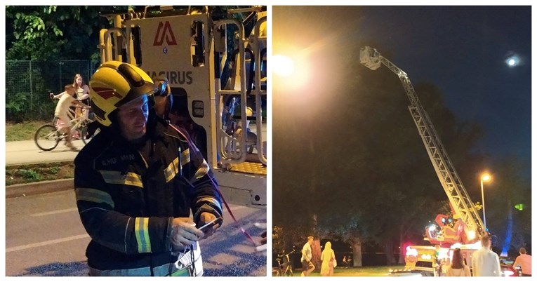 Zagrebački vatrogasci sinoć spašavali odbjeglu papigu