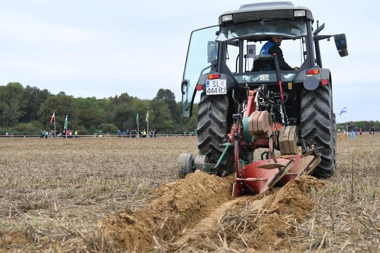 Pao realni dohodak u poljoprivredi