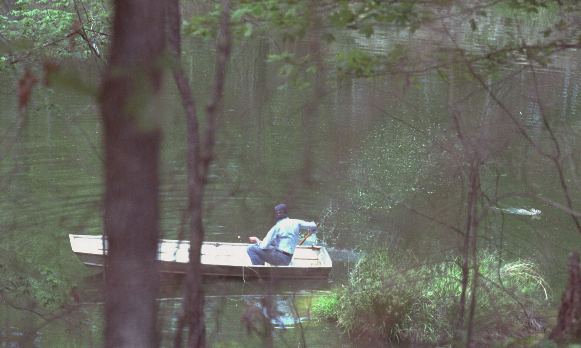 Zec je napao američkog predsjednika. Ispao je veći skandal nego se to očekivalo