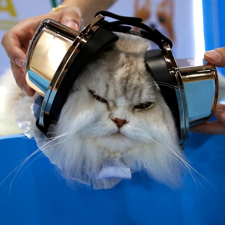 Završen najveći sajam kućnih ljubimaca, posjetilo ga je 225 tisuća ljudi