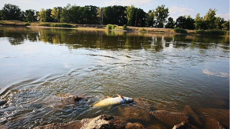 Tone mrtve ribe izvučene iz rijeke Odre na poljsko-njemačkoj granici