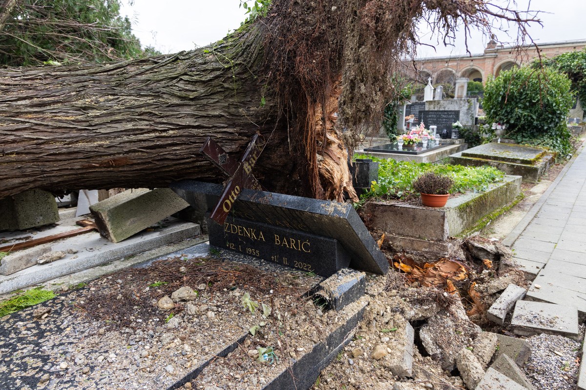 FOTO I VIDEO Ovako izgleda Mirogoj nakon nevremena. Srušeno više od 300 stabala
