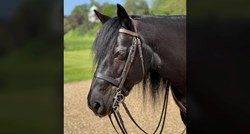 Objavljena nova fotka kraljičinog omiljenog ponija: "I dalje će biti voljen..."