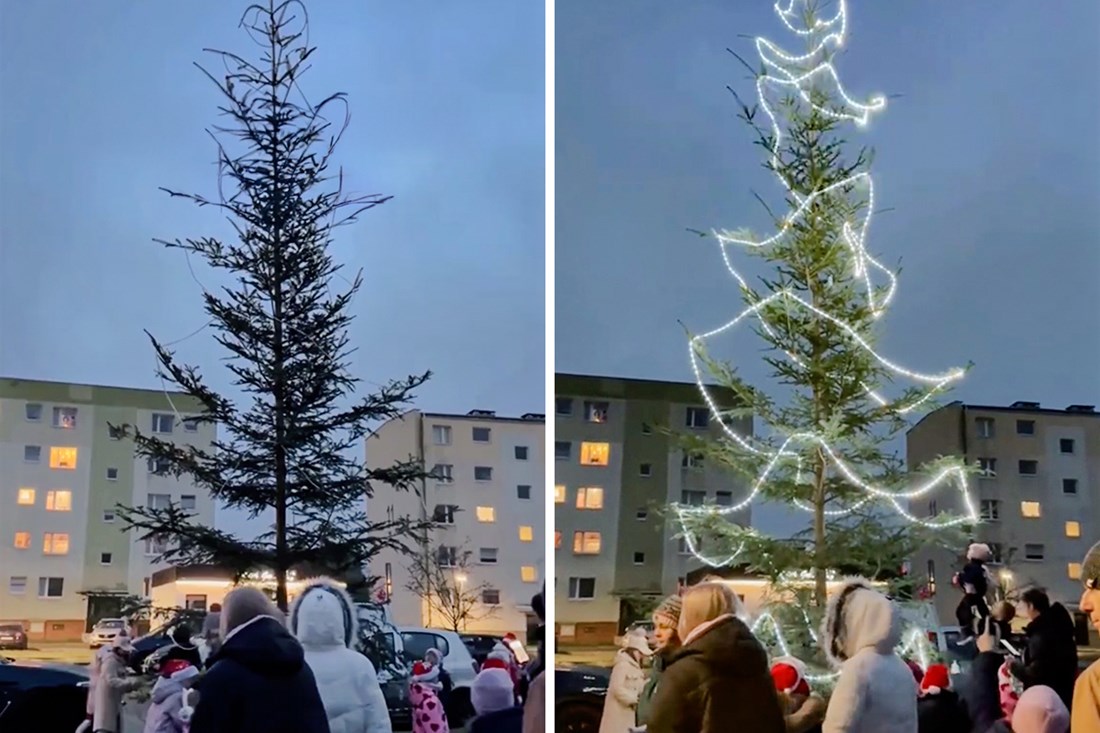 Ljudi ne prestaju komentirati božićno drvce u Poljskoj: "Bori se za život"