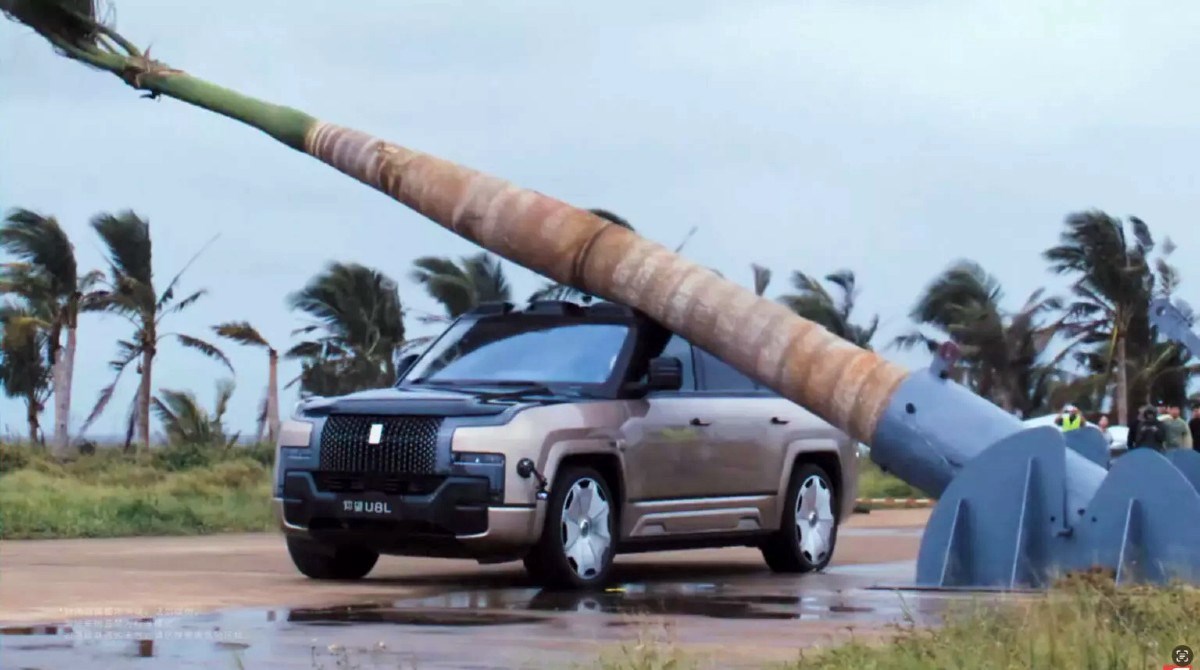 VIDEO Kinezi ispustili drvo na krov auta, pogledajte &#x161;to mu se dogodilo