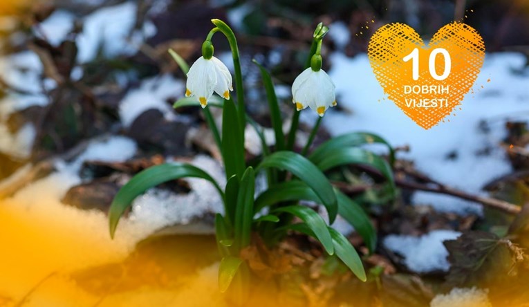 10 dobrih vijesti tjedna
