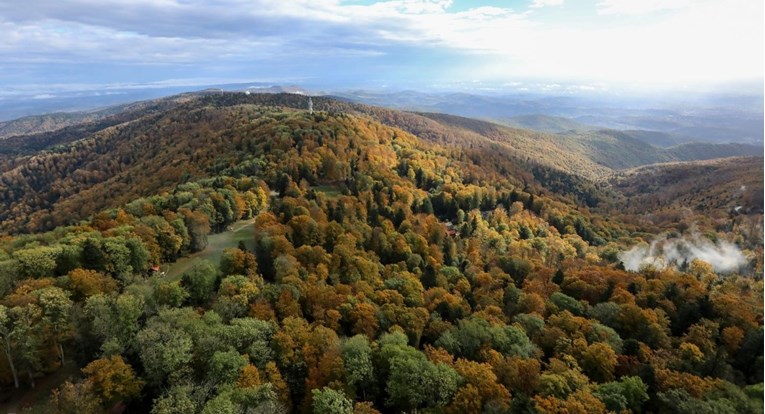 Hrvatske šume: Skoro pola države je pod šumama, prepoznatljivi smo po dvije vrste