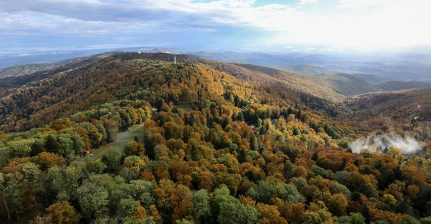Hrvatske šume: Skoro pola države je pod šumama, prepoznatljivi smo po dvije vrste