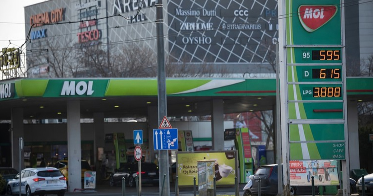 MOL kažnjen zbog šutnje o Družbi. Direktori prodali dionice za 4 milijuna eura