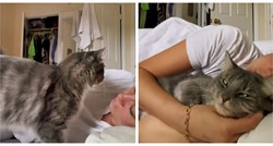 29 milijuna pregleda: Reakcija mačka kad shvati da mu se vlasnica probudila je hit