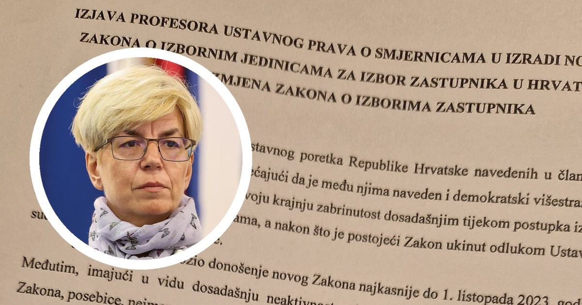 Profesorica Barić objavila veliki status o izbornim jedinicama: Ne pogodujemo nikome