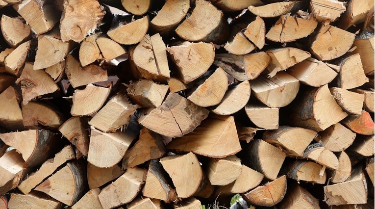 Čovjeku kod Lekenika ukradeno gotovo pedeset stabala, oštećen za 100.000 kuna