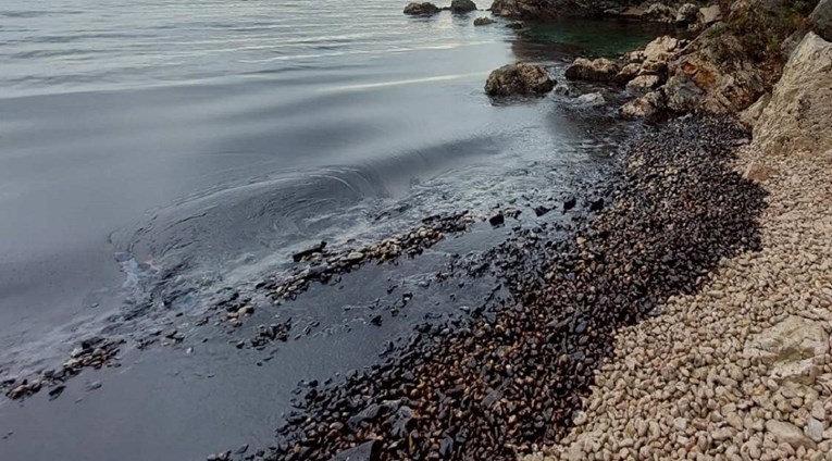 Što je zagadilo more u Istri i na Kvarneru? "Ne želim spekulirati, ali uzrok je isti"
