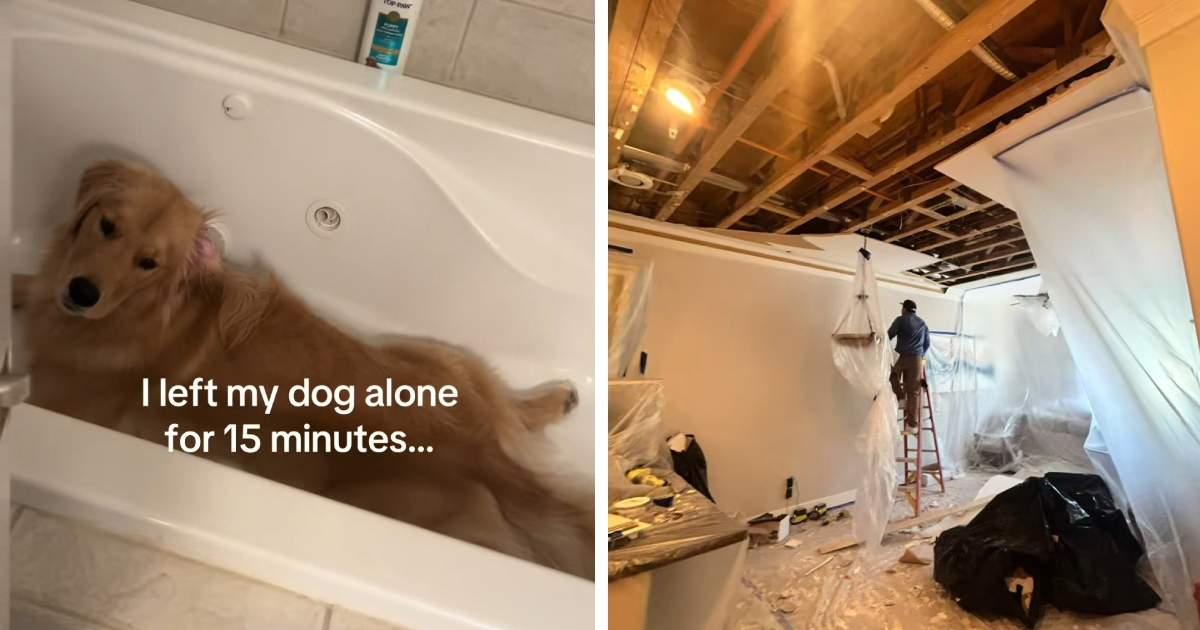 Vlasnica ostavila psa samog na 15 minuta, brzo je požalila