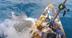 VIDEO Morski pas na Havajima napao čovjeka u kajaku, skoro ga prevrnuo