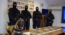 Policijski pas kod Ploča nanjušio 25 kg kokaina u Mercedesu talijanskih tablica