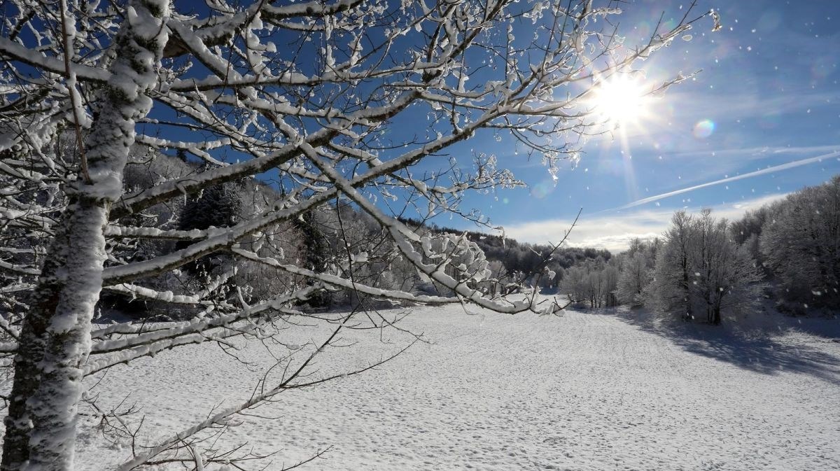 Hrvatski Meteorolozi Objavili Veliku Prognozu Za Zimu - Index.hr