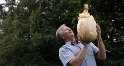 Na izložbi cvijeća u Engleskoj izložili divovski luk težak gotovo 9 kilograma