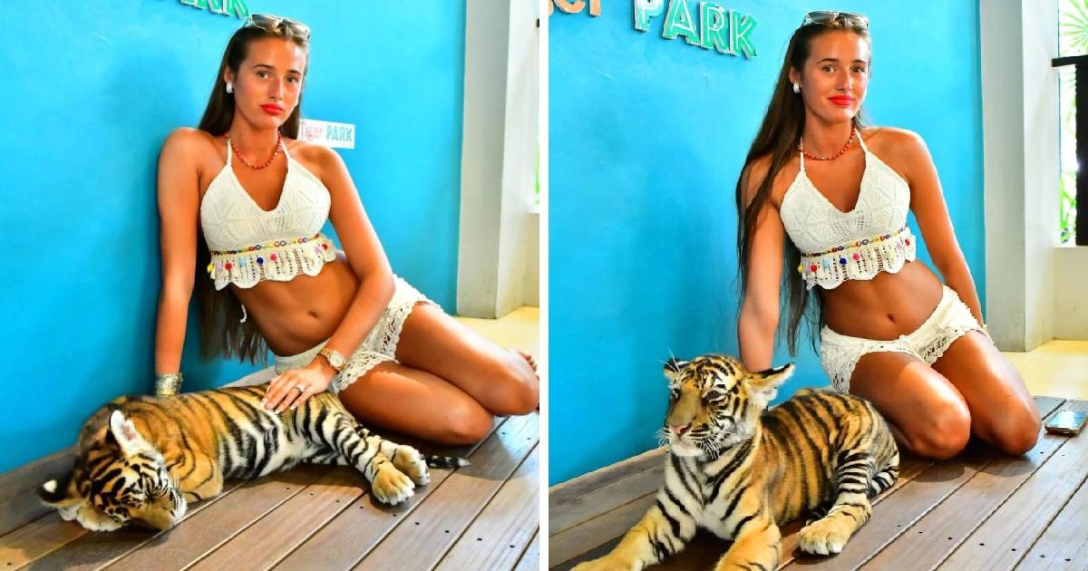 "Ovo je tužno i okrutno": Ljudi napali kćer (16) Tysona Furyja zbog fotke s tigrićem