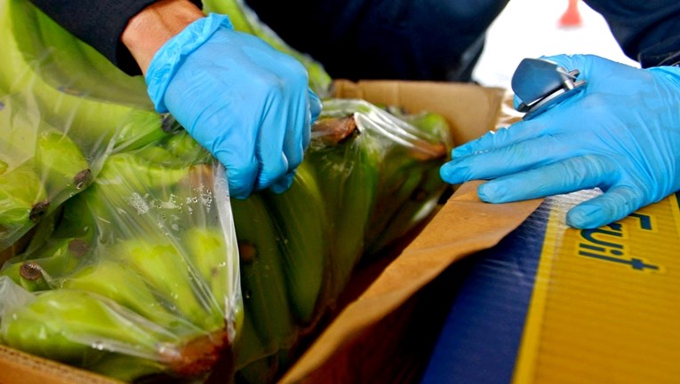 U paketima banana u skladištu Bose pronađeno 30 kila kokaina