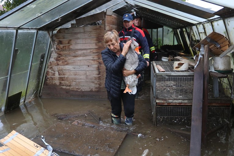 VIDEO Stanovnici malog mjesta uz Kupu spašavali svoje životinje od poplave