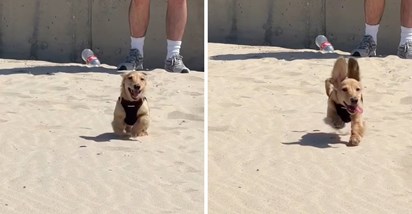 6 mil. pregleda: Pas prvi put bio na plaži, njegovo ponašanje će vas nasmijati