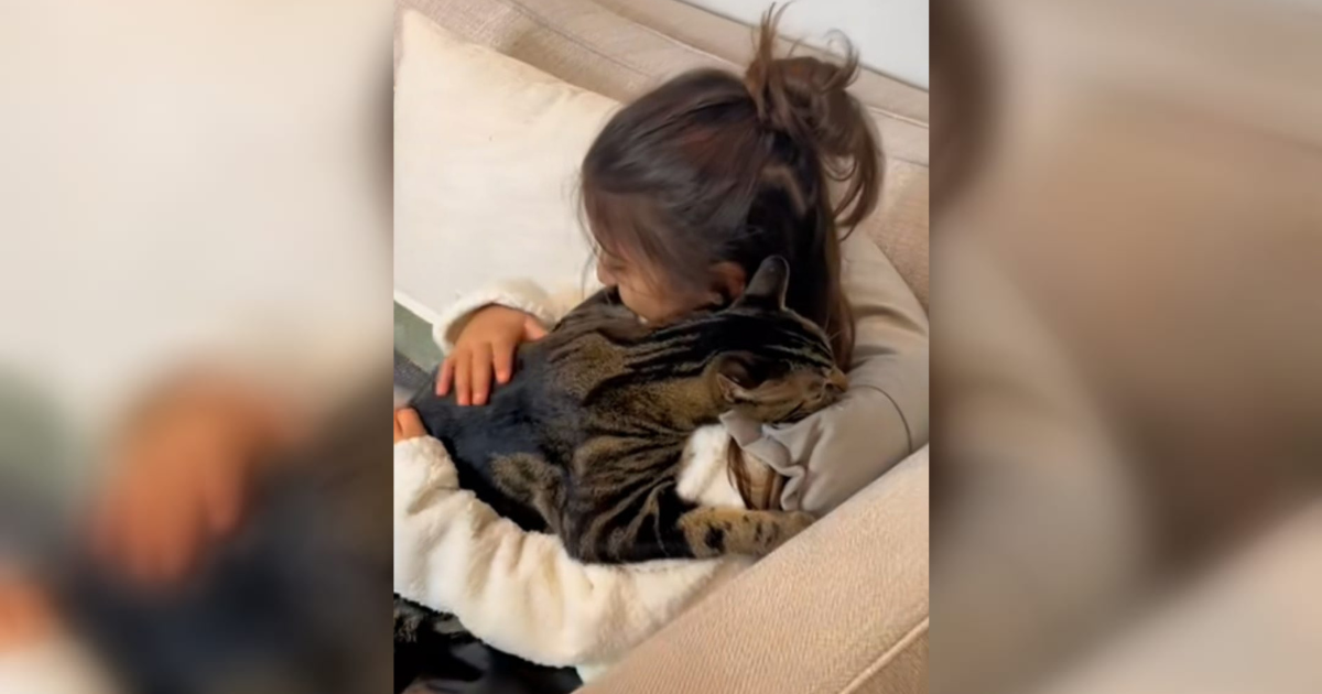 "Tek ju je upoznao i već je voli": Mačak se ne želi odvojiti od curice, video je hit