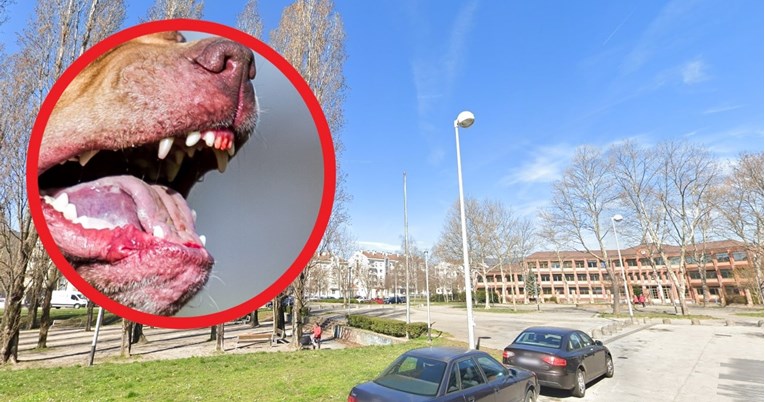Pas u Zagrebu napao dječaka. Majka: Šetala su ga djeca bez pratnje roditelja