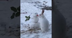 Zec u snijegu pronašao snjegovića pa napravio nešto preslatko