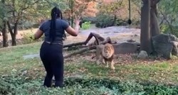 Preskočila ogradu u zoološkom vrtu i plesala ispred lava: "Ima sreće da je živa"