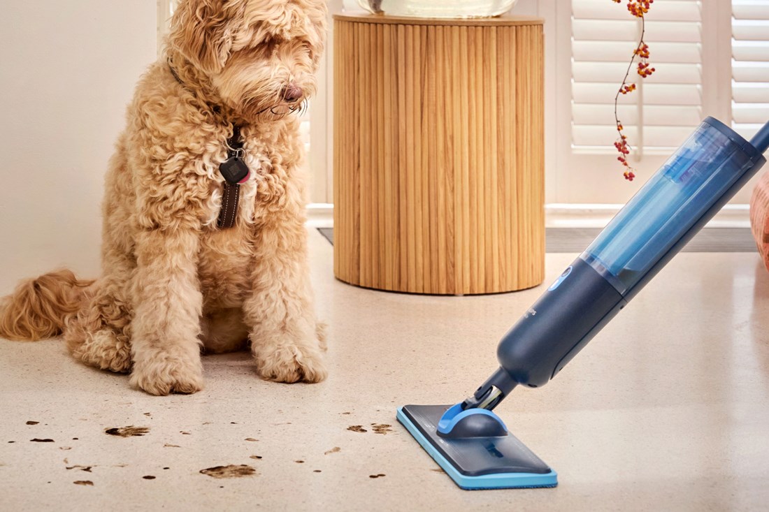 U Hrvatsku je stigao novi Philipsov električni mop