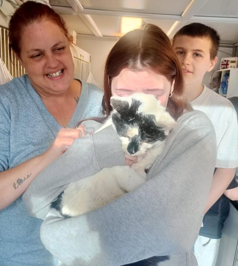 Božićno čudo: Nestali mačak pronađen nakon šest godina