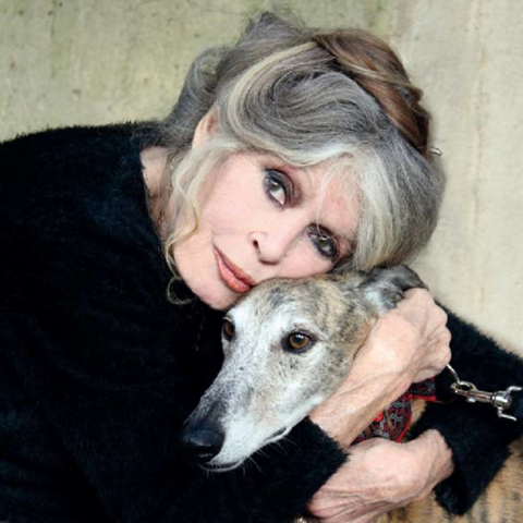 Ovo su posljednje fotografije Brigitte Bardot